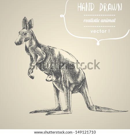 Kangaroo. Hand drawn vector illustration. Can be used separately from backdrop or postcard. 