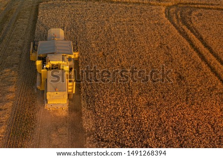 Rear aerial shot of a Combine Harvester harvesting a wheat field at Sunset