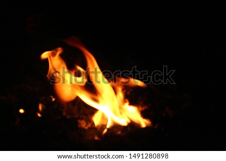 Fire small stack of energy That started to burn As various formats And ready to grow up closely on a black background at night
