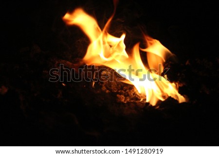 Fire small stack of energy That started to burn As various formats And ready to grow up closely on a black background at night