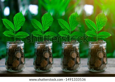 Coins in glass jar set on wooden plates, put in a green background with sun.