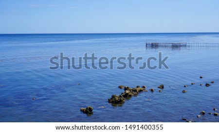 Beautiful seaside scenery with coral and blue sea on a clear day and there are green mountains