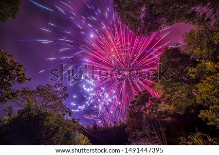 Purple and Magenta Fireworks over the trees in the woods