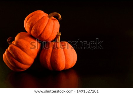 Three dirty orange pumpkins on black background with reflection with copy space for your text. For Halloween.