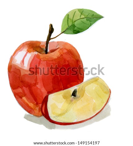 watercolor hand drawn picture of red apple