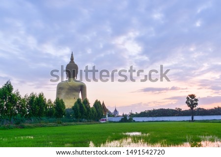 gigantic golden Buddha statue with beautiful view of rice field in the early morning