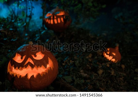 Scary halloween pumpkin faces. A dark forest scene with some blue haze