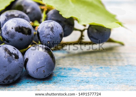 Blue grapes and green leaves on blue old boards. A bunch of grapes on a wooden table. Close-up