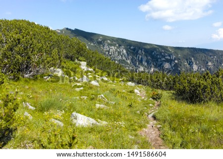 Landscape of Malyoviska river Valley, Rila Mountain, Bulgaria