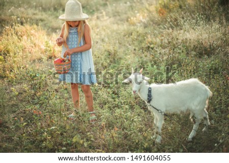 Lovely smiling blonde girl on a farm feeds a goat with apples and plums. Girl with long hair in a hat and dress. Cute baby caring for a domestic animal.