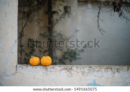 autumnal background with pumpkins ideal for halloween