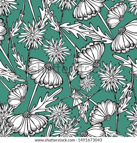 Seamless pattern with autumn chrysanthemum flowers, fields, beautiful garden plants, hand draws with ink. Large chrysanthemums of different shapes in vintage style. Isolated design for wallpaper, text
