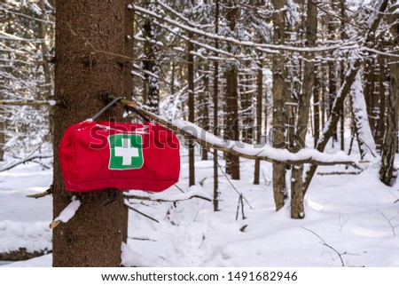 Red First Aid Travel Kit Pack Medicine Bag with white and green cross hanging on a tree branch in a snow winter forest