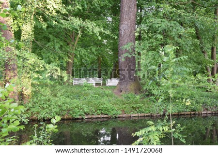 Spring landscape with a view of white benches near the pond among the vegetation