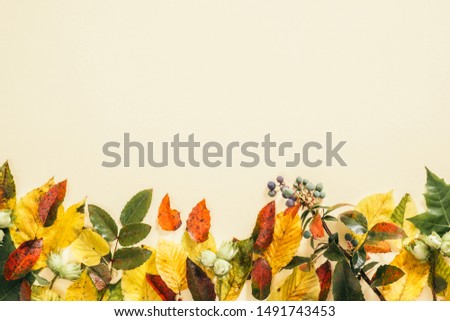 Autumn composition. Frame made of fall autumn leaves on pastel beige background. Flat lay, top view