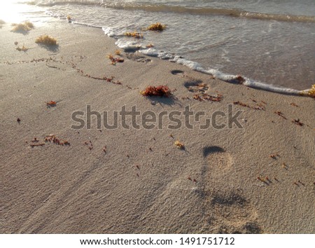 foot print at sand beach 