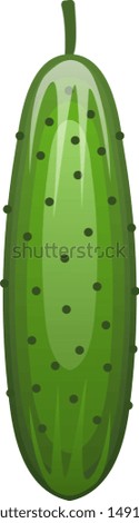 Cucumber - Vegetables Vector Template.