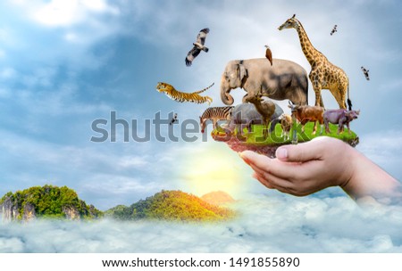 Wildlife Conservation Day Wild animals to the home. Or wildlife protection Royalty-Free Stock Photo #1491855890