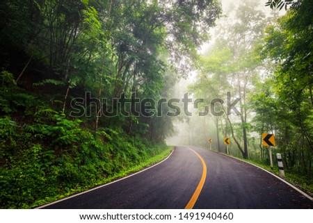 Wet asphalt road and foggy weather through the tropical forest on the mountain at daytime, rainy season in Thailand