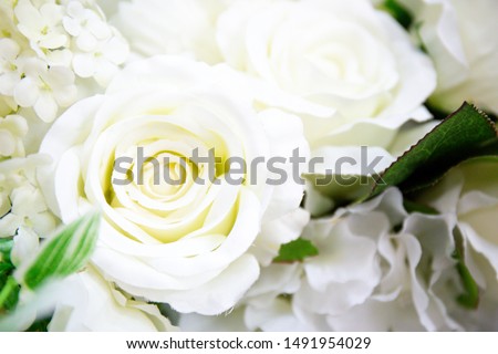roses White plastic flowers background