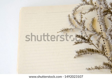Autumn composition. Dry gray plant on the background of a light open lined notebook. Autumn, fall concept, flat lay, copy space. Place for text. Selective focus.