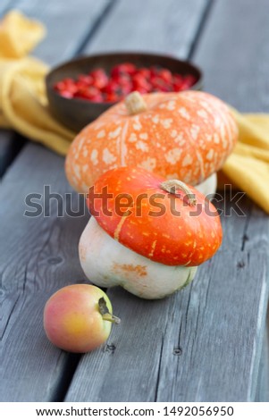 Pumpkins on the old wooden background with apple, yellow fabric and a bowl with rosehip. Autumn arrangement of fall harvest. Selective focus, vertical.