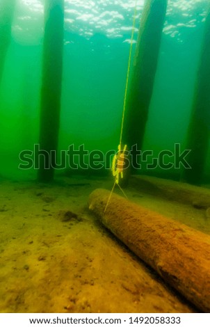 Remains of a wooden pier Munising Bay  in Lake Superior holding a dive reel underwater. Royalty-Free Stock Photo #1492058333