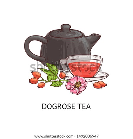 Dog rose tea - berry fruit beverage drawing in glass teacup and brown teapot with red berries, pink flower and green leaves on a branch, hand drawn isolated herbal drink still vector illustration Royalty-Free Stock Photo #1492086947