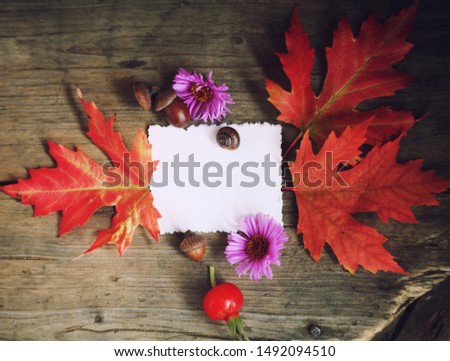 Autumn thanksgiving background with autumn leaves and flowers and space for text