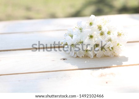 Empty new wood table abstract garden background stock photo. White apple blossom