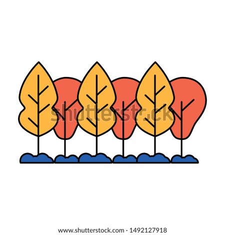 Trees design, Nature plant summer season environment natural and abstract theme Vector illustration