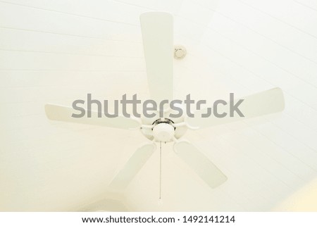 White Ceiling fan decoration interior of room