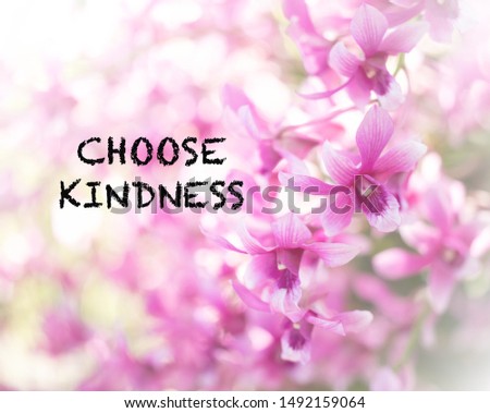 Inspirational and motivation quote :choose kindness