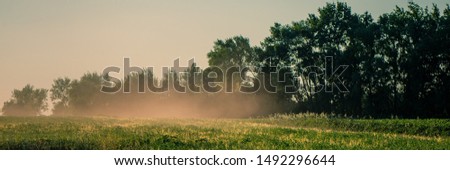 Dust Raised by the Wind in a Field on a Background of Deciduous Trees, Sunny Morning. Panoramic Countryside Landscape. Autumn Season, October. Web Banner. Natural Background.