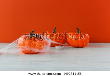 halloween background orange decorated holidays festive concept / spider and jack pumpkin halloween decorations for party accessories object 