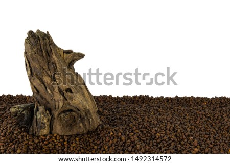old stump and gravel, white background