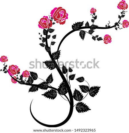 Pink roses black foliage artistic floral element