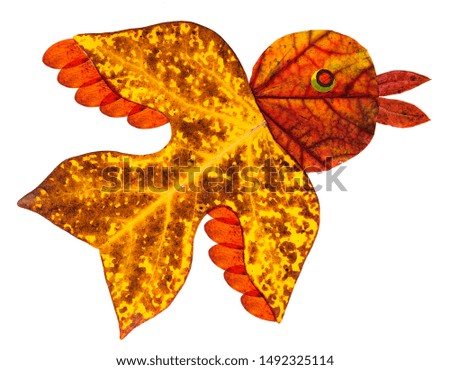 bird made from the autumn leaves