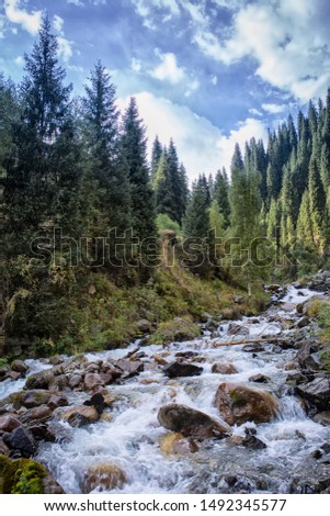 Summer landscape with a fast river in a mountain forest.