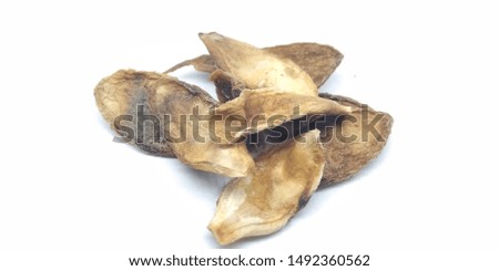 A picture of dry seed's on white background