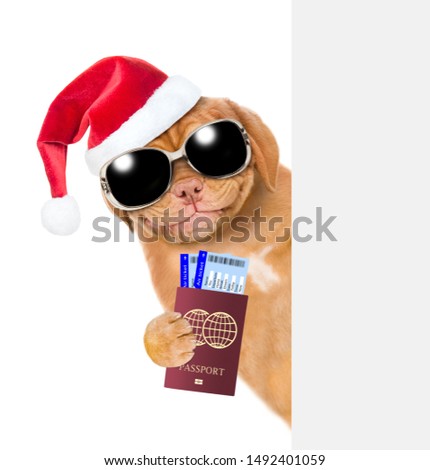 Smiling puppy with sunglasses and red christmas hat holds airline tickets and passport behind empty white banner. isolated on white background