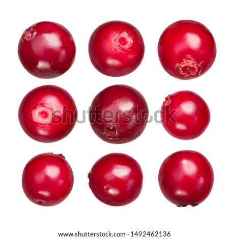 Lingonberry (fruits of Vaccinium vitis-idaea), isolated Royalty-Free Stock Photo #1492462136
