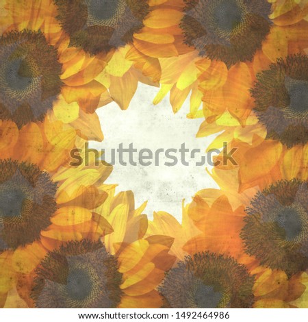 Textured old paper background with large yellow flower head

