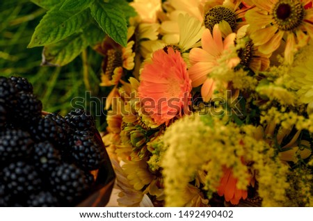 blackberry and autumn bouquet, healthy nutrition