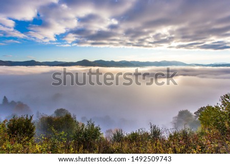 mist over valley in mountains, splendid morning foggy autumn  image, trees on the hill on background of fog and far mountains on horizon, dawn nature scenery, Ukraine, Europe, Carpathians