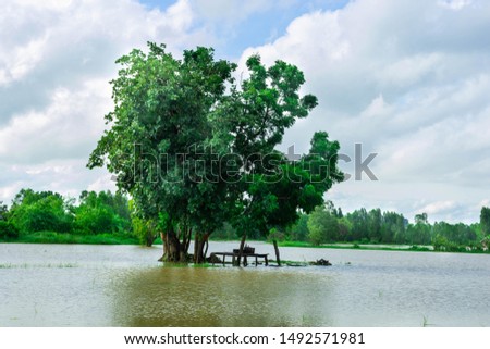 The trees and shade reflected on the water surface in the junction area. With flood Southeast Asia, Vietnam, Indonesia, Myanmar, Thailand, Cambodia, Philippines
