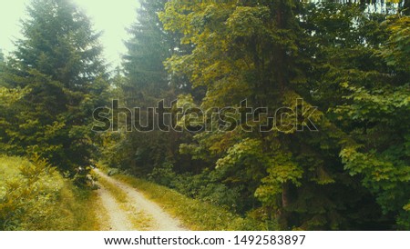 aerial forest after rain with athmosferic fog clouds and curvy country road