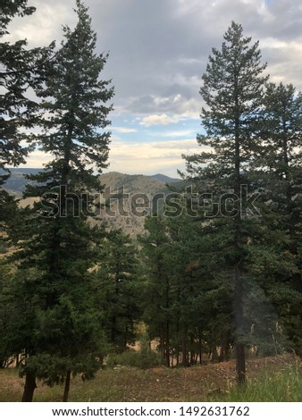 Evergreen Colorado mountain views August 2019