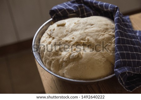 Raised yeast dough. Unbaked yeast dough. 