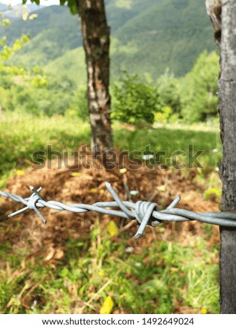 Barbed Field Wire and Natural Background